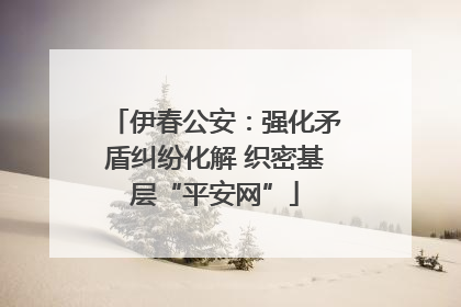 伊春公安：强化矛盾纠纷化解 织密基层“平安网”